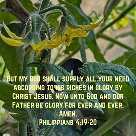 Philippians But My God Shall Supply All Your Need According To