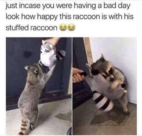 Wild Ass Pictures On Twitter RT RespectfulMemes