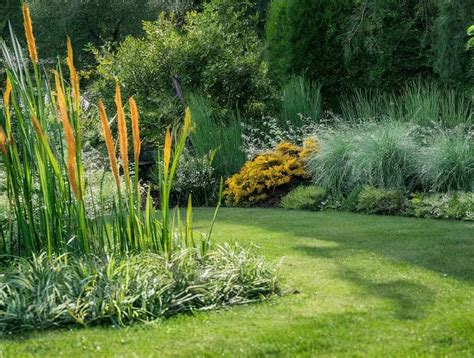 Wann Rasen S En Der Beste Zeitpunkt F R Perfekten Rasen Mein Garten