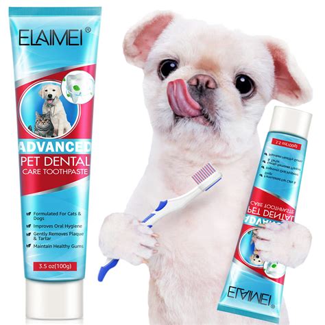 Best Toothpaste For Gingivitis In Dogs at Terry Camacho blog