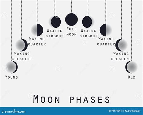 lunar phase phase   moon cartoon vector cartoondealercom