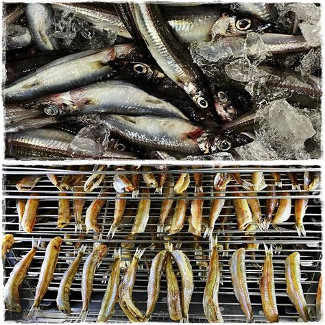 【楽天市場】ニギス 干し 500g 冷凍 山形 新潟県産 無頭 メギス 沖ギス ギス 一夜干し バーベキュー おつまみ：山形 鮮魚と特産品の店長谷川