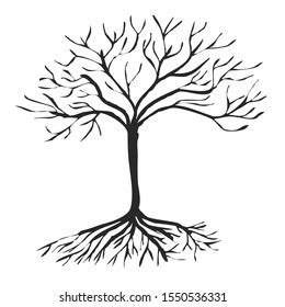 Vector Naked Tree On White Background Vector De Stock Libre De Regal As Shutterstock