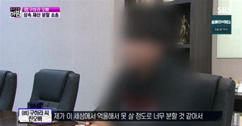 故 구하라 오빠 친모 상대 상속재산 분할 소송 낸 이유 동생 지켜야 네이트 연예