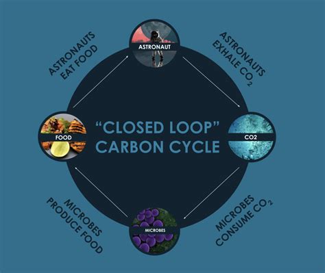 This NASA technology can turn CO2 into food | World Economic Forum