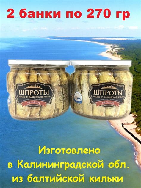 Шпроты в масле из балтийской кильки Premium, Русские берега, 2 X 270 гр ...