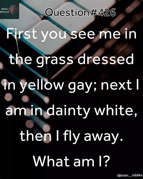 First You See Me In The Gras Dressed In Yellow Gay Next I Am In Dainty