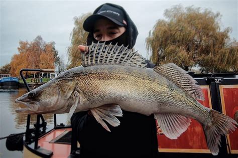 Top 10 Tips For Catching More Zander On Lures Predator Fishing World
