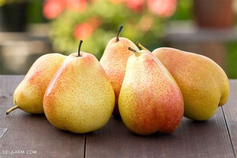 55 عکس دیدنی از گلابی های تازه و خوشمزه