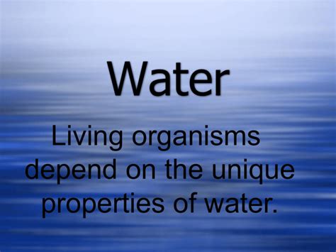 Water Molecules