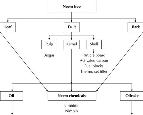 Neem Tree Utilization Download Scientific Diagram