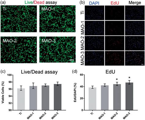 Cell Viability And Proliferation Assay A After H Of Culture A