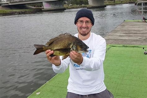 How To Catch Bream On Bait Bream Fishing Tip Fishing Mad