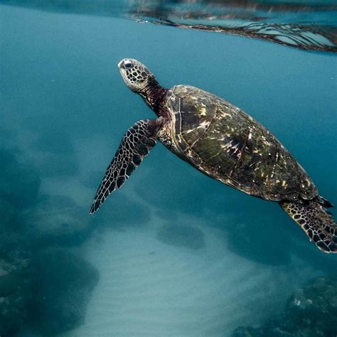 Why Sustainability Matters More Than Ever