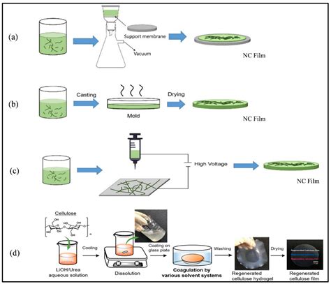 Role of Nanocellulose in Light Harvesting and Artificial Photosynthesis