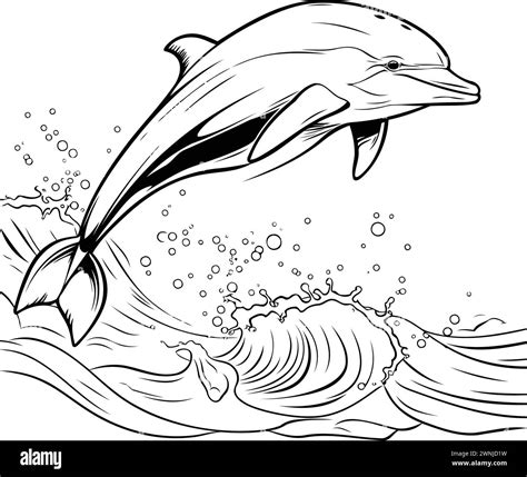 Dolphin Jumping Out Of Water Vector Illustration In Black And White