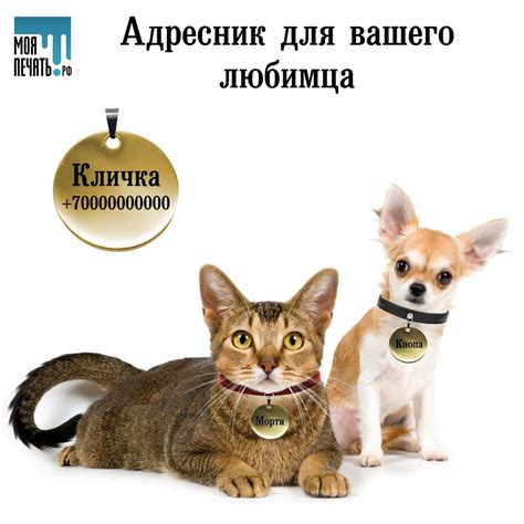 Адресник для кошки/кота и собак мелких пород с гравировкой - Круг ...