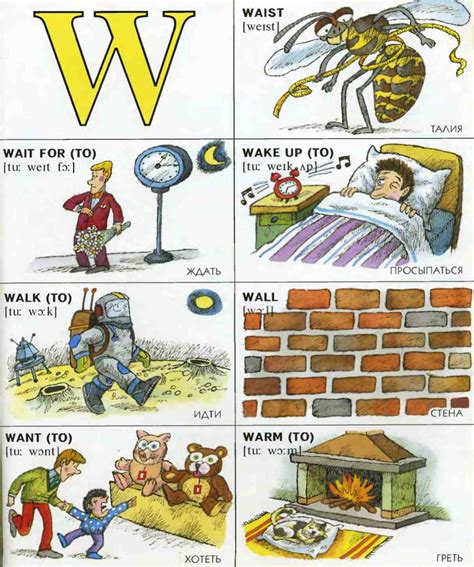 Буква W - английские слова