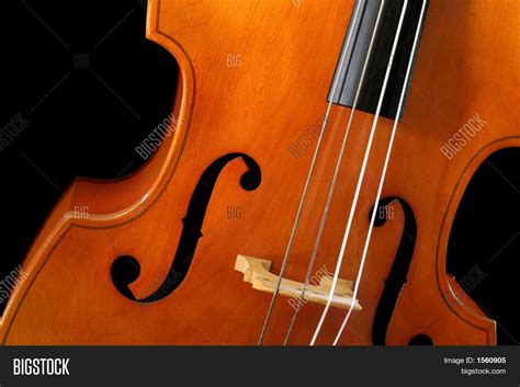Double Bass Image & Photo (Free Trial) | Bigstock