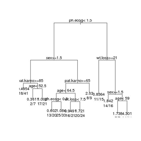 Data Mining Survivor Survival Analysis Decision Tree