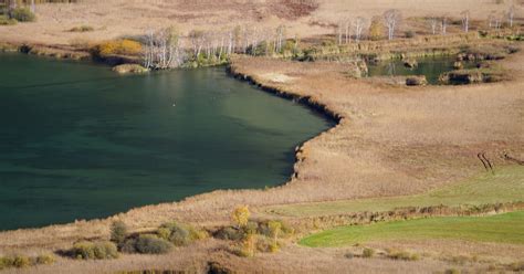 Das Naturschutzgebiet Südufer Zeller See von oben in Zell am See