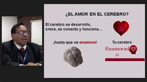 Amor ¿en El Cerebro Youtube