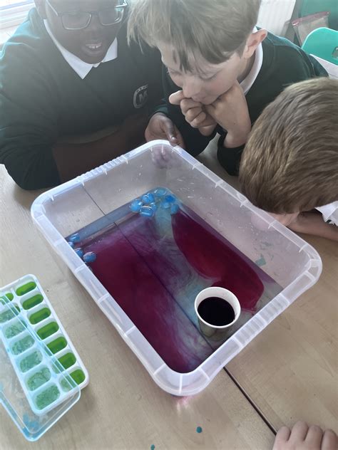 Mead Primary Convection Experiment