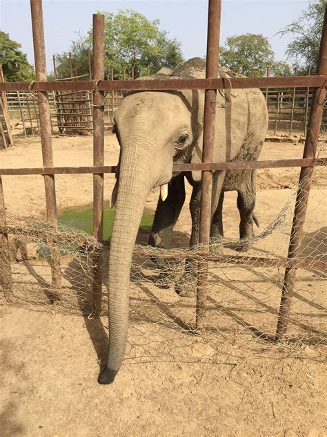 THE 10 BEST Things to Do in Burkina Faso - 2022 (with Photos