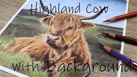 Highland Cow In Color Pencil And Pan Pastel Tutorial Youtube