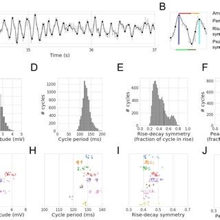 Cycle-by-cycle characterization of the rodent hippocampal theta ...