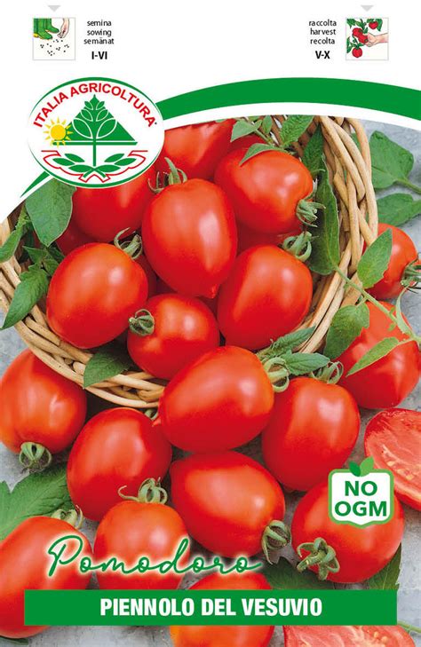 Tomate Piennolo del Vesuvio 1248 - Italienische Samen