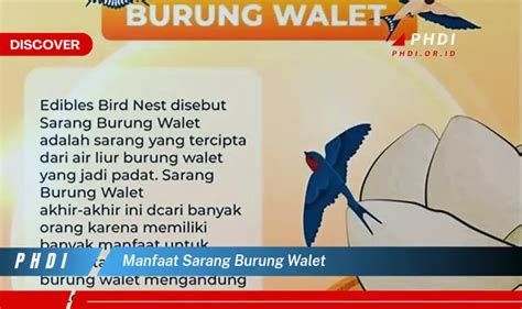 Ketahui 5 Manfaat Sarang Burung Walet Yang Bikin Kamu Penasaran