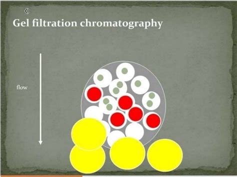 Gel permeation chromatography copy