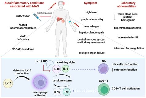 Still's Disease With Macrophage Activation Syndrome at Richard Bridges blog