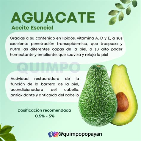 Extracto Hidroglic Lico Aguacate Qp Naturals Quimpo Popay N