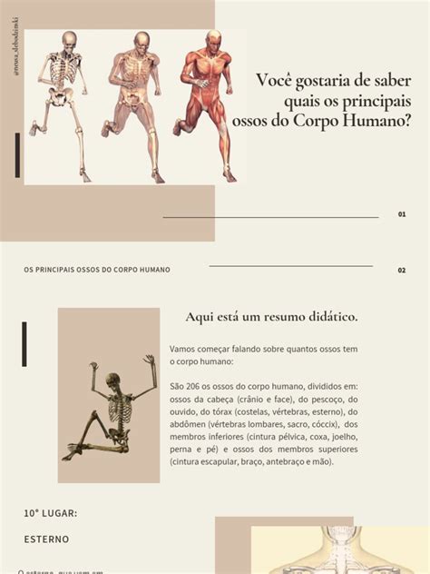 Ossos Mais Fortes Do Corpo Humano - Principais Ossos do Corpo Humano | PDF | Osso | Cotovelo