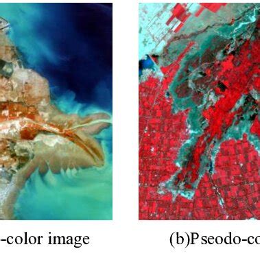 Overview of the images from (a) Yellow River Delta; (b) The southern ...