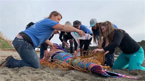 The Mendocino Mermaids Beach Rescue Help Us Keep Our Beaches Clean