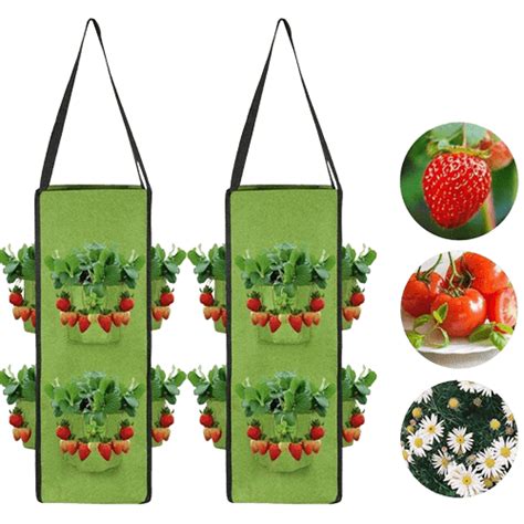 10 Best Strawberry Planters Buyer Guide