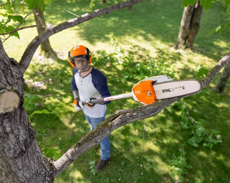 Stihl Pole Pruner HTA 66