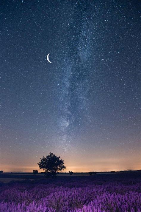 即使生活在陰溝里，也有仰望星空的權利 每日頭條