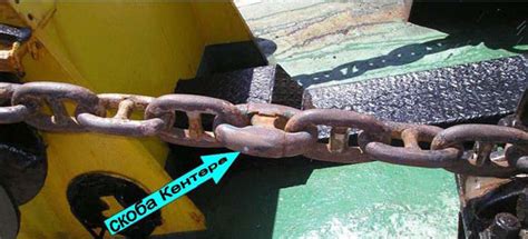 Якорная цепь