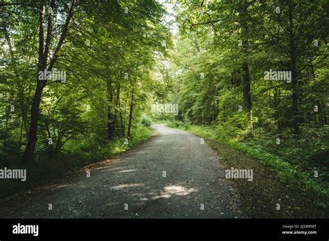 Moody Forest Pathway Hi Res Stock Photography And Images Alamy