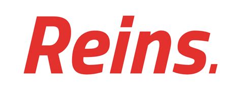 REINS – Servicios tecnológicos