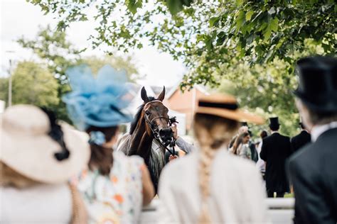 Ascot (by way of London) — Glimpse