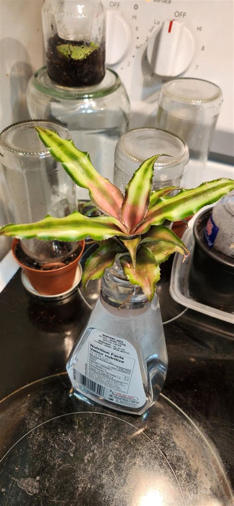 The 17 a secret that most regular commuters still don't know 32