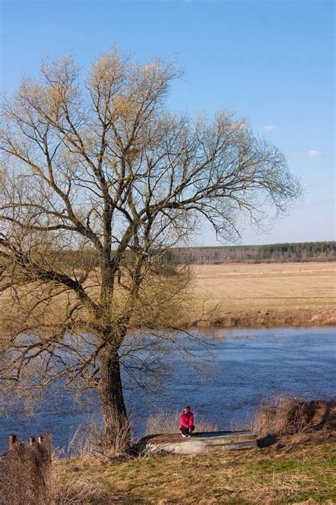 Naked Trees Stock Image Image Of Autumn Country Tree 9393895