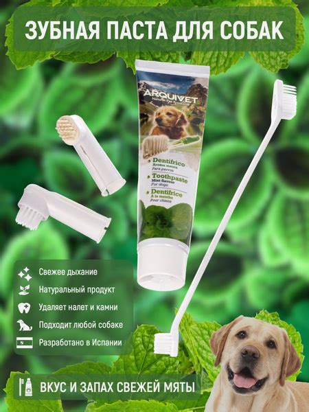 Набор зубная паста для собак животных кошек + щетка + напальчник, вкус ...