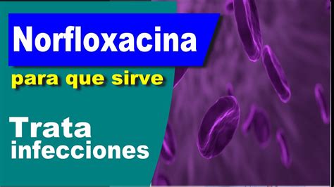 NORFLOXACINA Para Que Sirve Trata Infecciones Cistitis YouTube