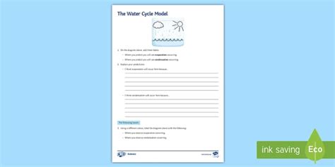 Water Cycle Model Worksheet (teacher made) - Twinkl